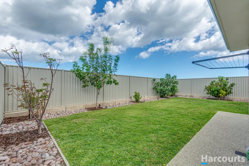 Photo - 133 Hawksbill Drive, Alkimos WA 6038 - Image 15