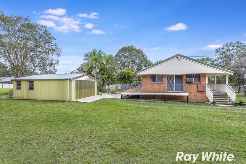 Photo - 133 Mcphail Road, Narangba QLD 4504 - Image 16