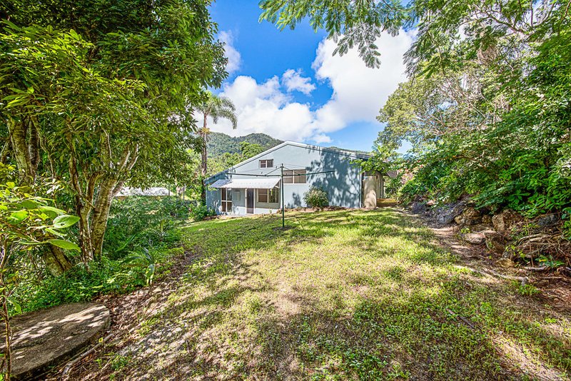 Photo - 133 Orchid Road, Cannon Valley QLD 4800 - Image 6