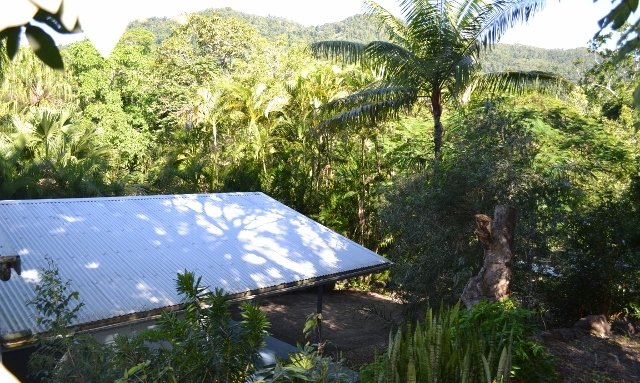 Photo - 133 Orchid Road, Cannon Valley QLD 4800 - Image 7