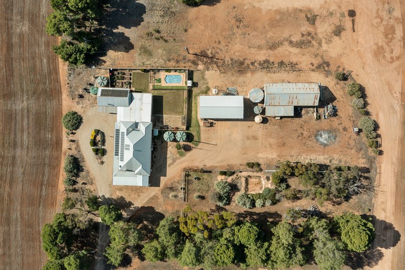 Photo - 133 Piggery Corner Road, Cunningham SA 5571 - Image 3