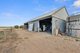 Photo - 133 Piggery Corner Road, Cunningham SA 5571 - Image 26