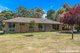 Photo - 133 Sandy Creek Road, Riddells Creek VIC 3431 - Image 2