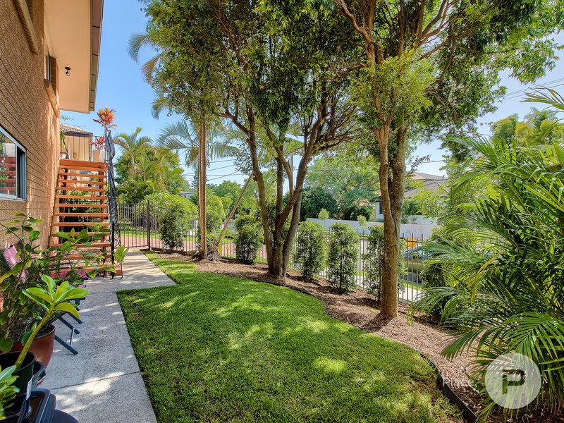 Photo - 1/33 Shottery Street, Yeronga QLD 4104 - Image 12