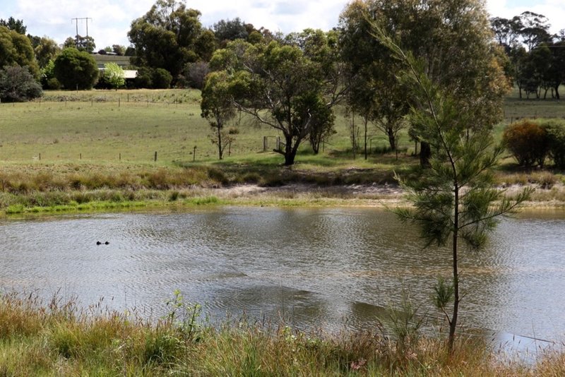 Photo - 133 Spring Close, Mount Rankin NSW 2795 - Image 4