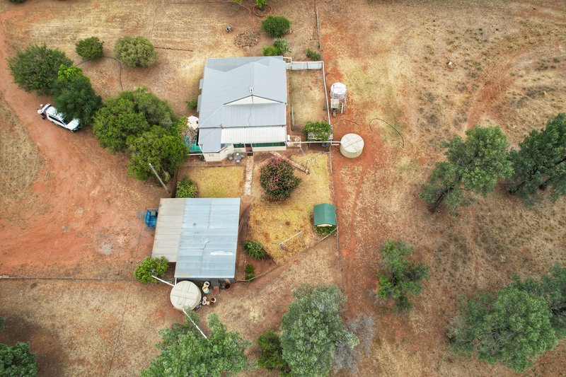 Photo - 133 Yarrabandai Road, Trundle NSW 2875 - Image 12