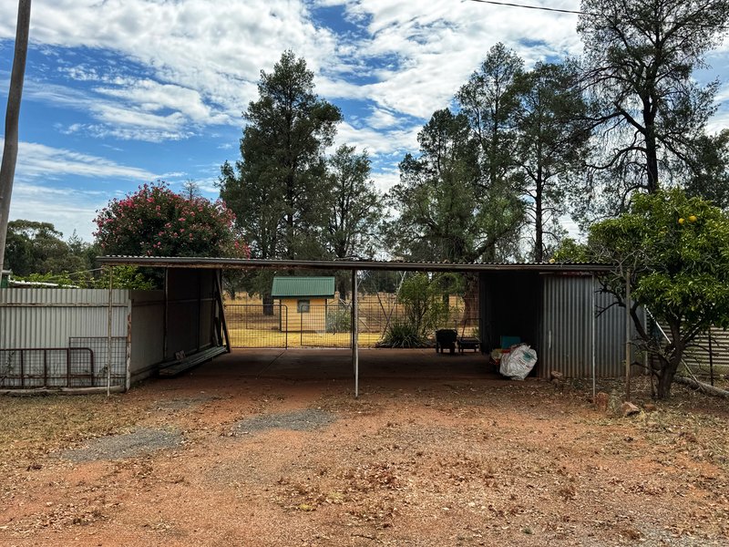 Photo - 133 Yarrabandai Road, Trundle NSW 2875 - Image 15