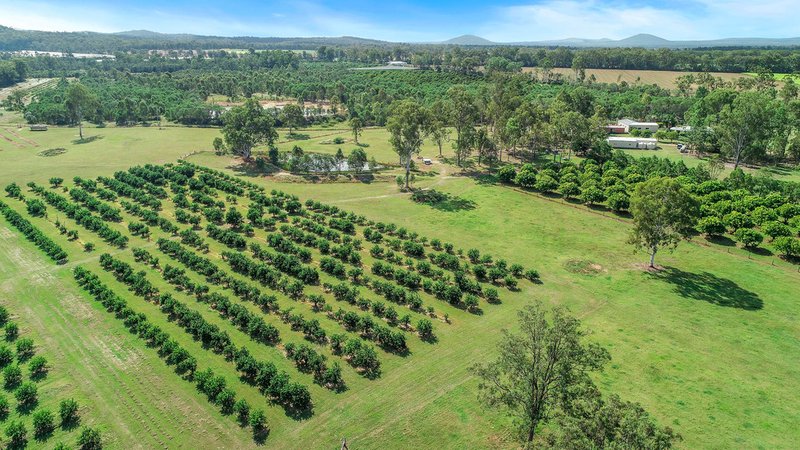 Photo - 1331 Gatton Esk Road, Spring Creek QLD 4343 - Image 19