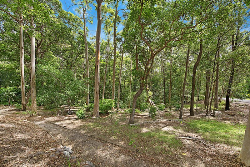 Photo - 134-140 Vise Road, Mons QLD 4556 - Image 13