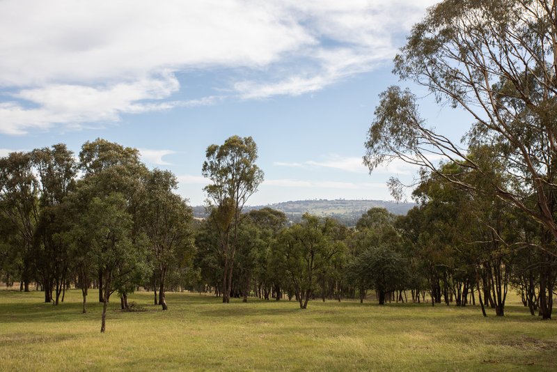 Photo - 134 Apple Tree Hill Drive, Armidale NSW 2350 - Image 17