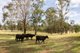 Photo - 134 Apple Tree Hill Drive, Armidale NSW 2350 - Image 18