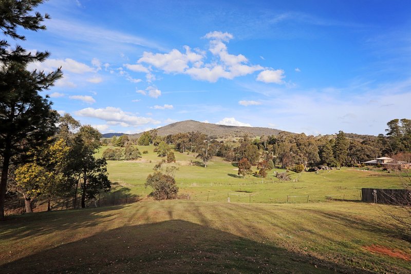 Photo - 134 Batlow Road, Tumbarumba NSW 2653 - Image 5