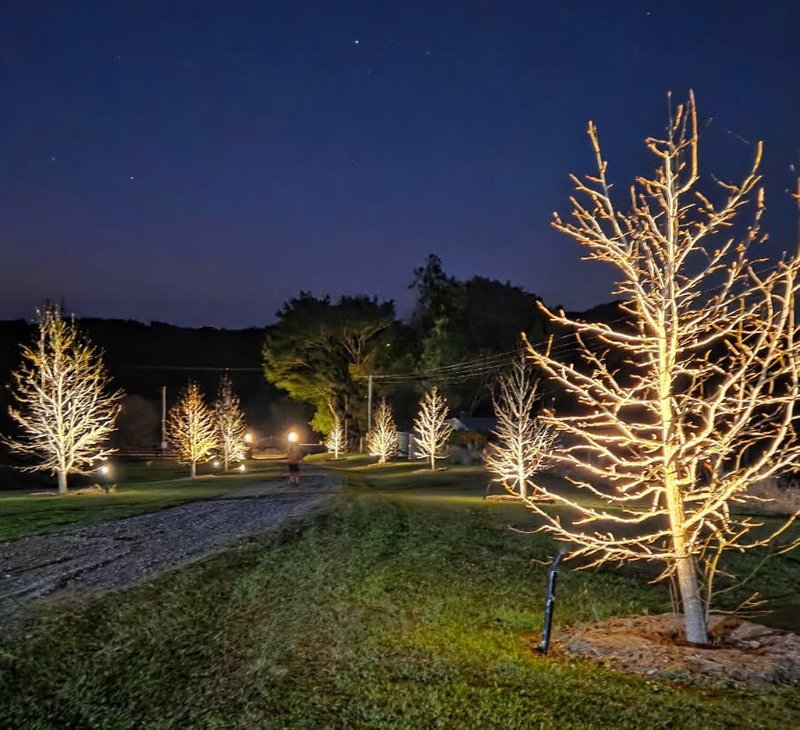 Photo - 134 Dulong School Road, Dulong QLD 4560 - Image 16