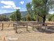 Photo - 134 Elizabeth Drive, Daruka NSW 2340 - Image 16
