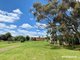 Photo - 134 Henty Street, Casterton VIC 3311 - Image 18