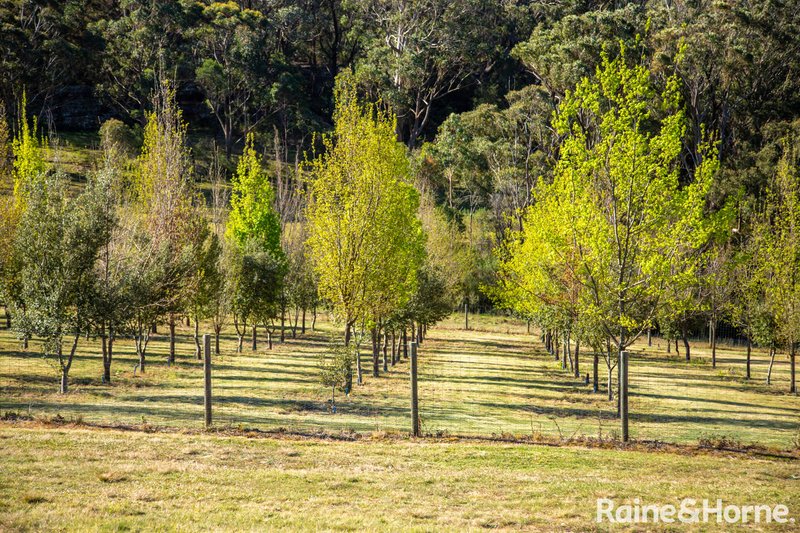 Photo - 134 Kells Creek Road, Woodlands NSW 2575 - Image 25