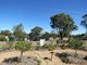 Photo - 134 Newlands Drive, Paynesville VIC 3880 - Image 14