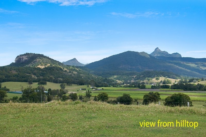 Photo - 134 Old Lismore Road, Murwillumbah NSW 2484 - Image 2