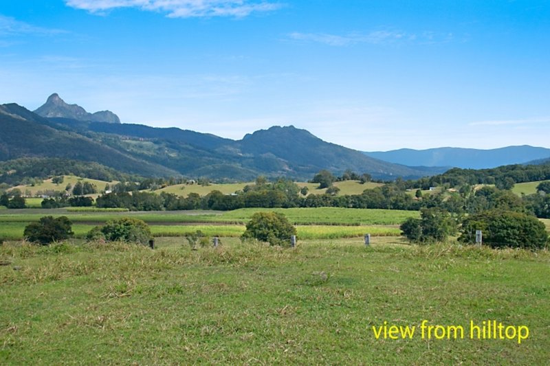 Photo - 134 Old Lismore Road, Murwillumbah NSW 2484 - Image 10