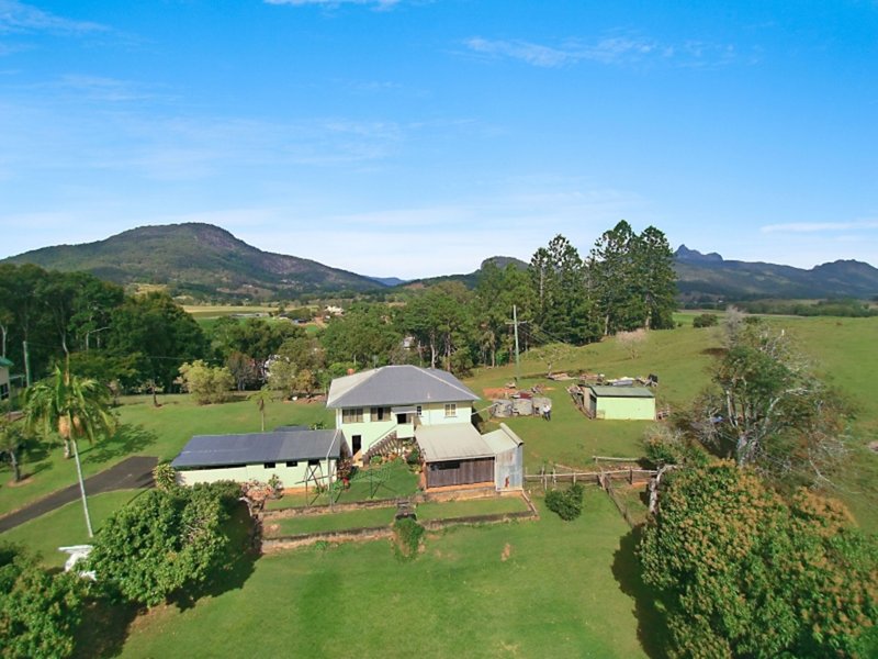 Photo - 134 Old Lismore Road, Murwillumbah NSW 2484 - Image 11