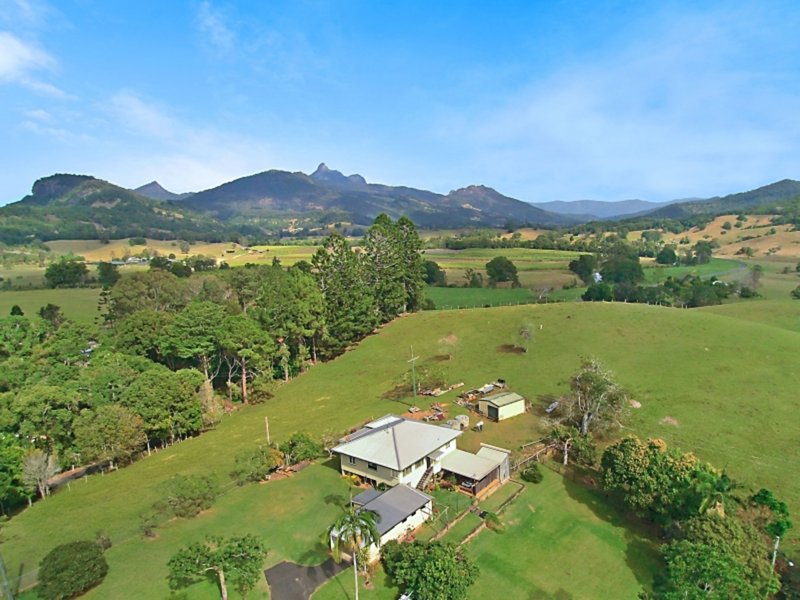 Photo - 134 Old Lismore Road, Murwillumbah NSW 2484 - Image 12