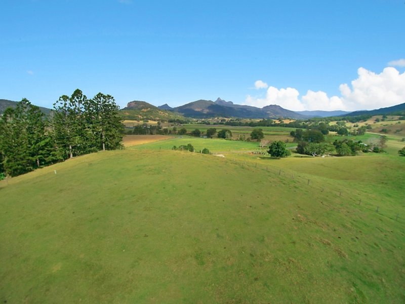 Photo - 134 Old Lismore Road, Murwillumbah NSW 2484 - Image 14