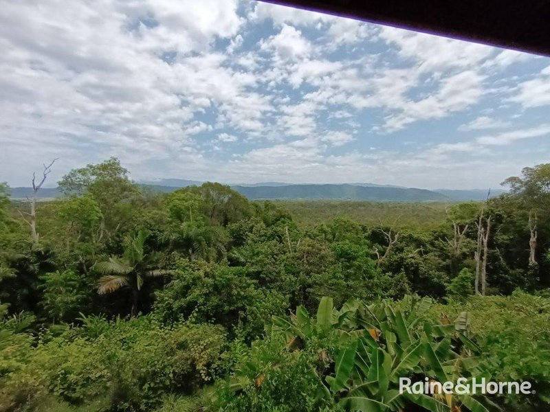 Photo - 134 Ronald Road Forest Creek , Daintree QLD 4873 - Image 17