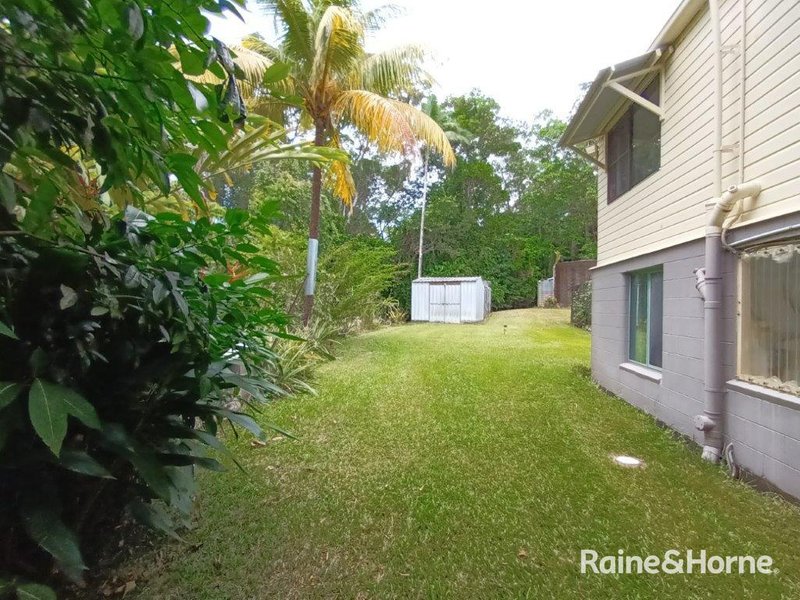 Photo - 134 Ronald Road Forest Creek , Daintree QLD 4873 - Image 28