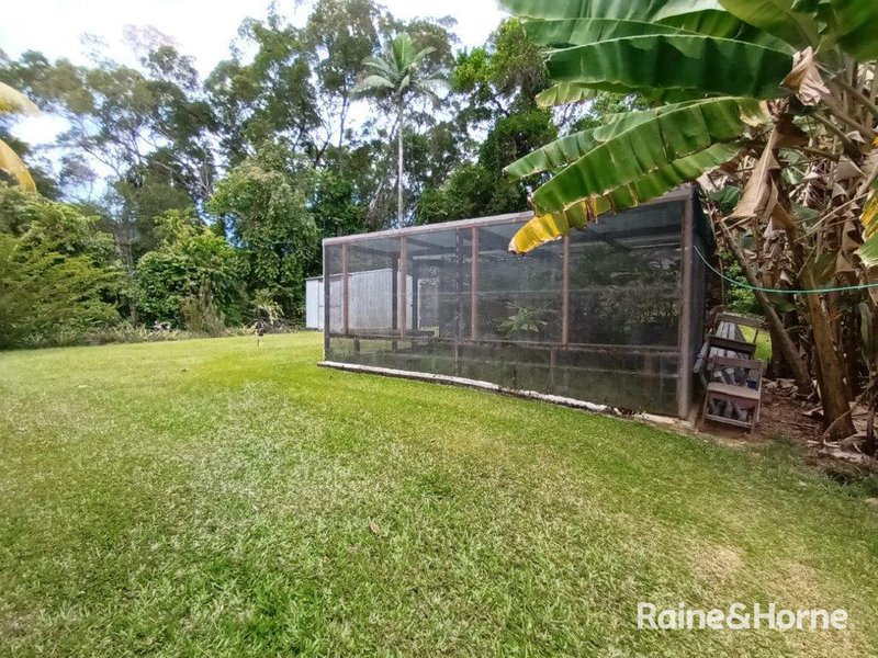 Photo - 134 Ronald Road Forest Creek , Daintree QLD 4873 - Image 29