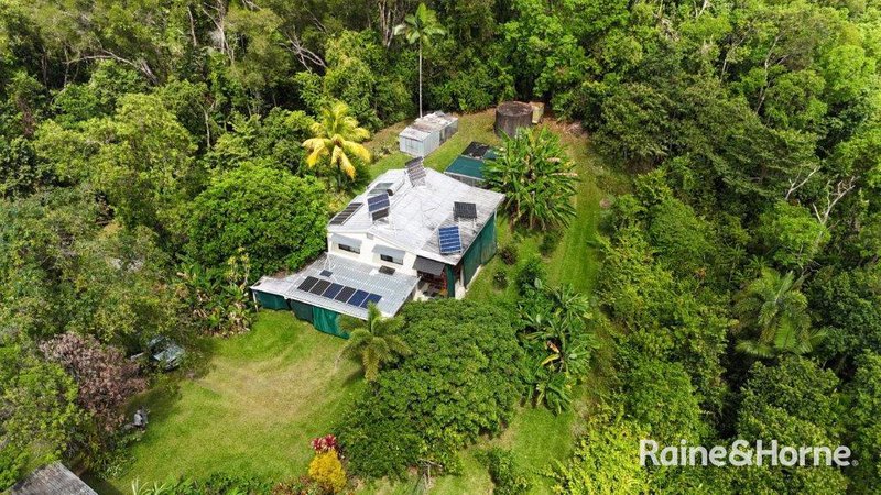 Photo - 134 Ronald Road Forest Creek , Daintree QLD 4873 - Image 35