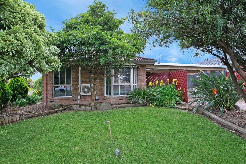 Photo - 134 Roycroft Avenue, Mill Park VIC 3082 - Image 17