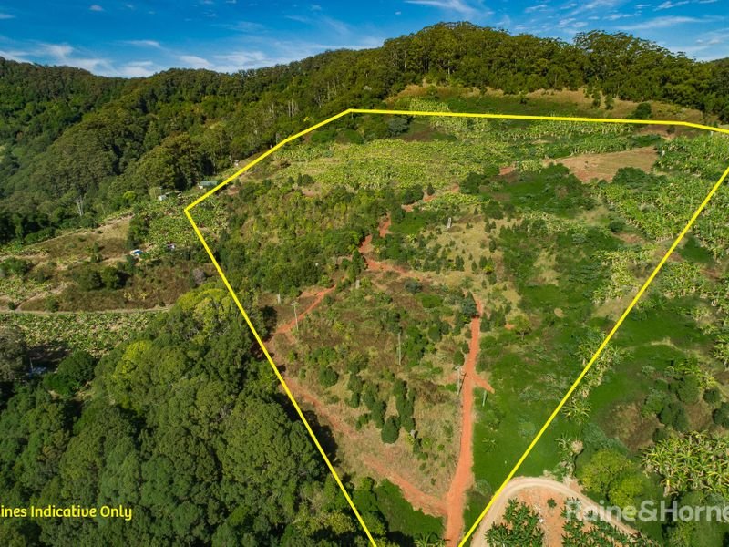 Photo - 134 Snake Gully Road, Burringbar NSW 2483 - Image 6