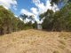 Photo - 1342 Monduran Road, Waterloo QLD 4673 - Image 21