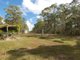 Photo - 1342 Monduran Road, Waterloo QLD 4673 - Image 25