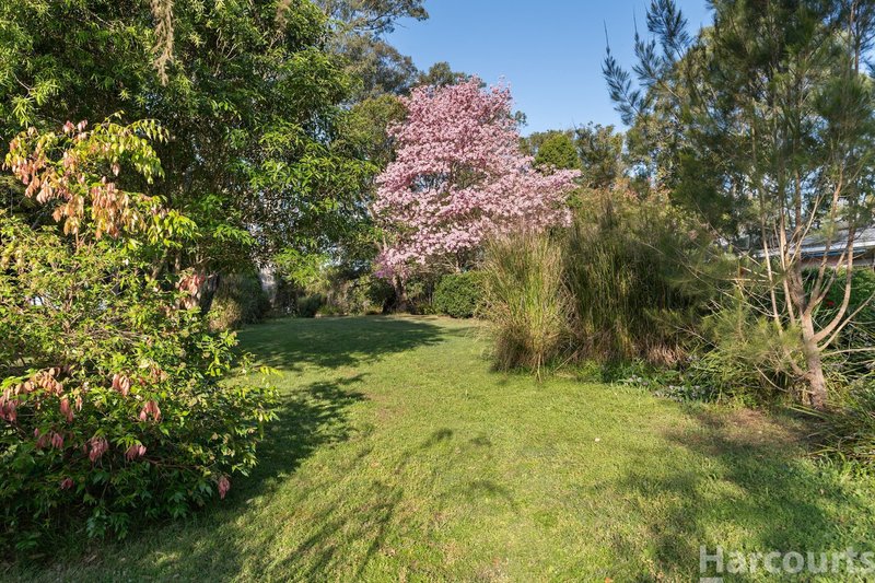 Photo - 1343 Gowings Hill Road, Sherwood NSW 2440 - Image 3