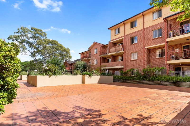Photo - 13/47 Briggs Street, Camperdown NSW 2050 - Image 5