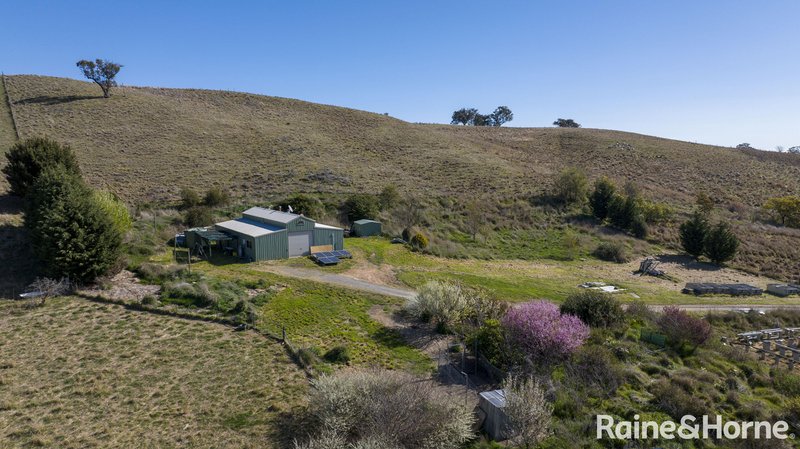 Photo - 135 Bigga Road, Binda NSW 2583 - Image 4