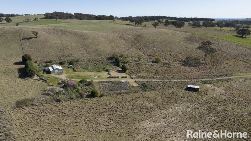 Photo - 135 Bigga Road, Binda NSW 2583 - Image 9