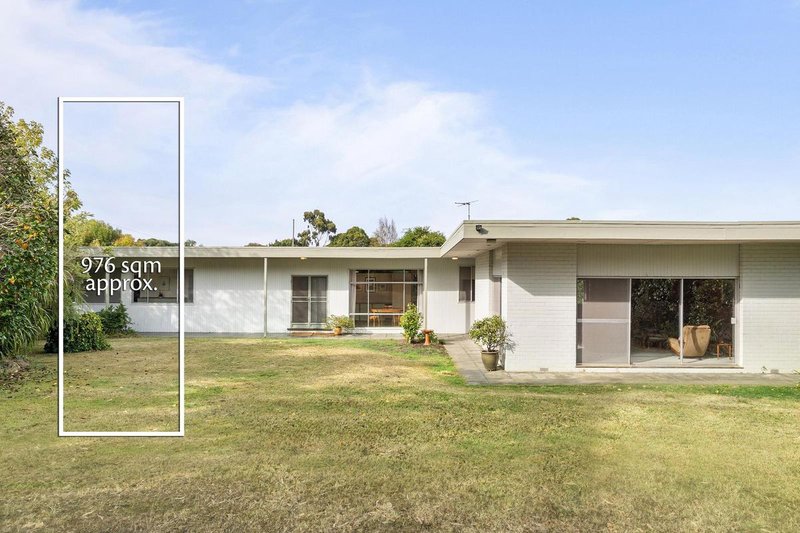 Photo - 135 Blackburn Road, Mount Waverley VIC 3149 - Image 10