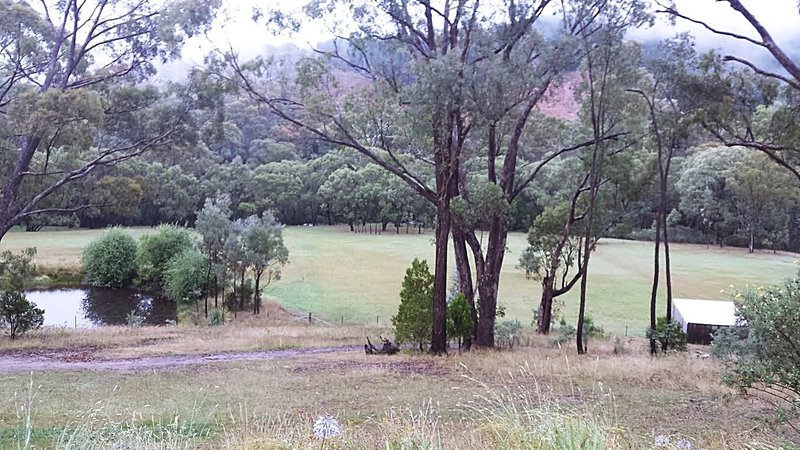 Photo - 135 Elliott Way, Tumbarumba NSW 2653 - Image 16