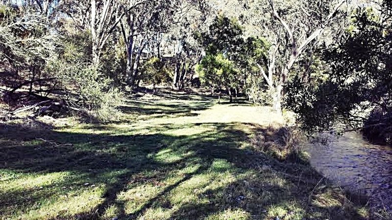 Photo - 135 Elliott Way, Tumbarumba NSW 2653 - Image 17