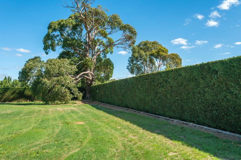 Photo - 135 Harpers Lane, Kyneton VIC 3444 - Image 4