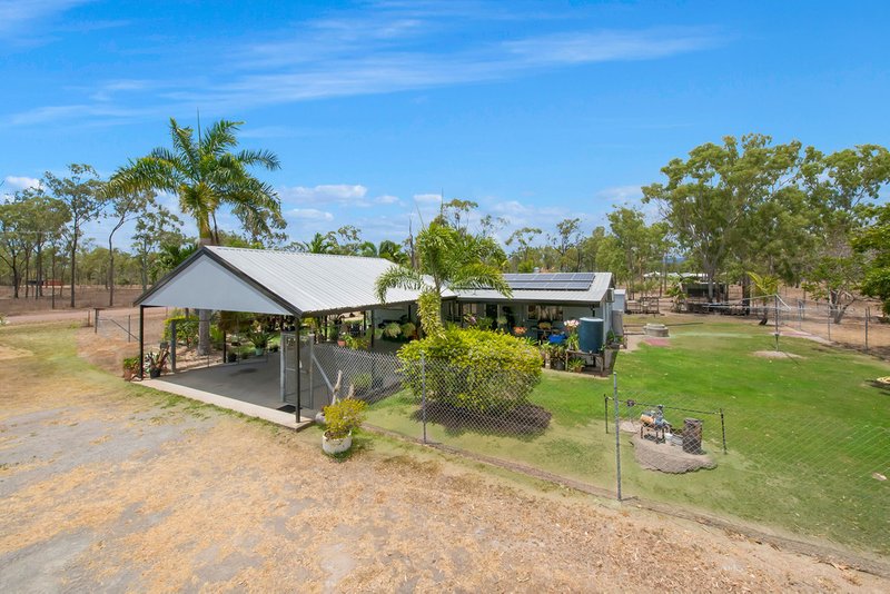 Photo - 135 Haynes Road, Jensen QLD 4818 - Image 7