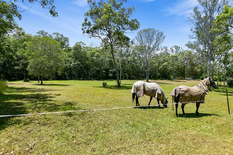 Photo - 135 Pomona Kin Kin Road, Pinbarren QLD 4568 - Image 6