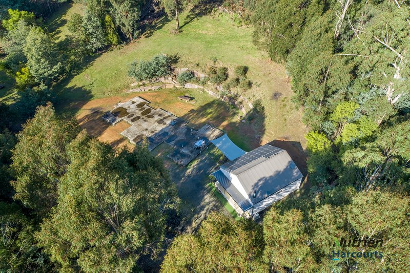 Photo - 135 Silver Creek Road, Flowerdale VIC 3717 - Image 14