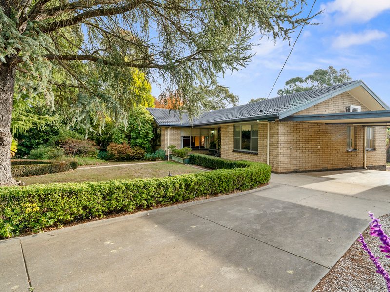 Photo - 135 Standish Street, Myrtleford VIC 3737 - Image 2