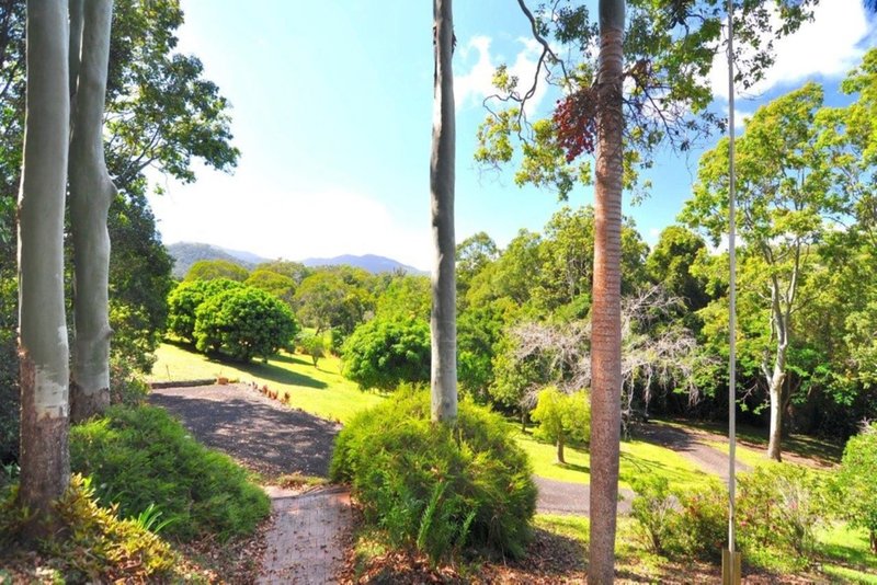 Photo - 135 Stoney Creek Road, Speewah QLD 4881 - Image 16