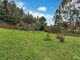 Photo - 1353B Lobethal Road, Forest Range SA 5139 - Image 20