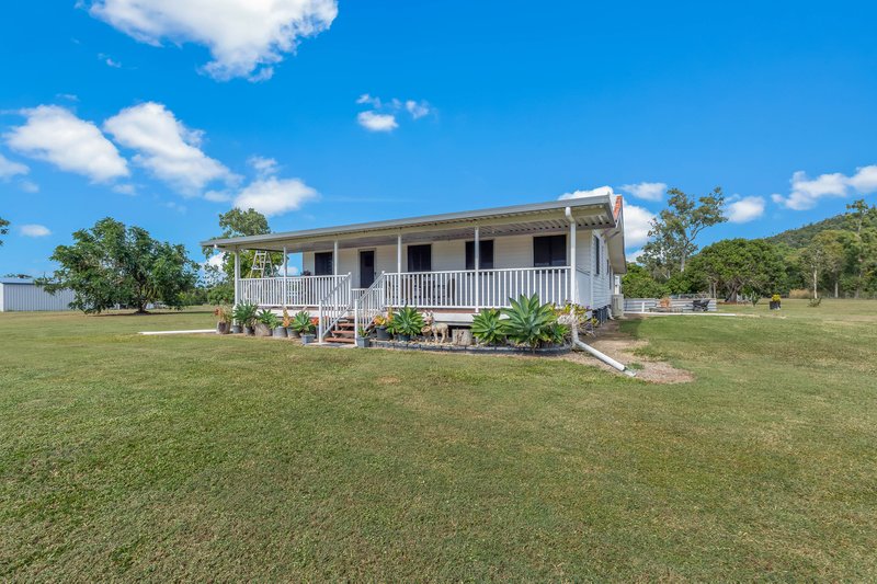 1358 Midge Point Road, Midge Point QLD 4799