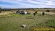 Photo - 135R Obley Road, Dubbo NSW 2830 - Image 21